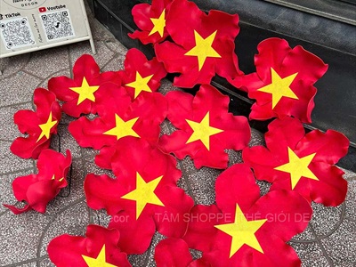 Hoa cờ Việt Nam cao cấp [Nhẹ - 3 Size] 35-40-45cm CANHHOA-12